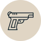 Firearm Offenses@2x